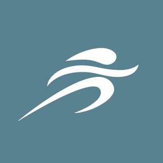 Logo Vesalio Clinic